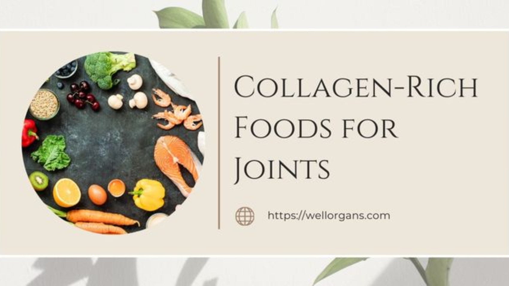 Collagen-Rich Foods for Joints